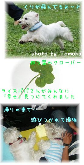 くりが走った！