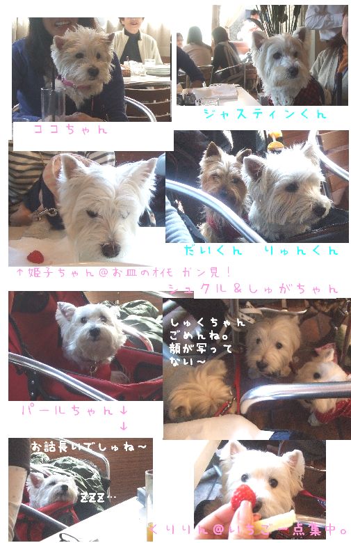 @ロブロスカフェ２