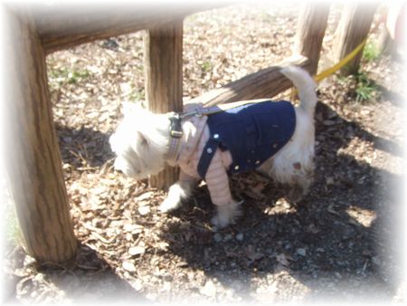 姫ちゃん。。。