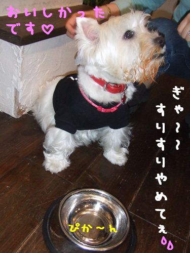 トマトシチュー