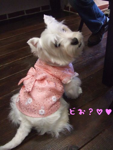 プリティなワンピ