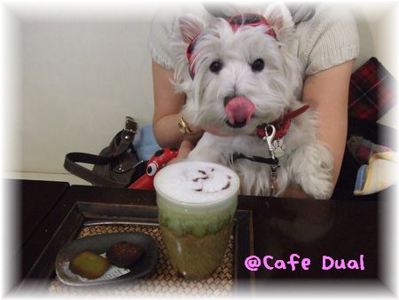 @cafe dual