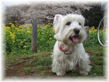 うひゃひゃー♪