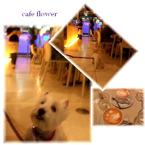 cafe flower