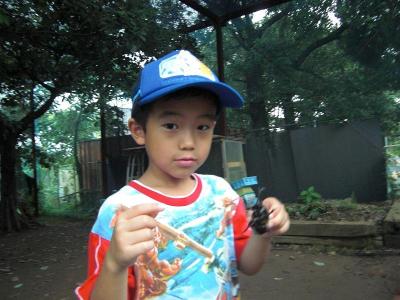 ぶるーとカブト虫