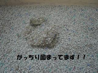 がっちり固まる