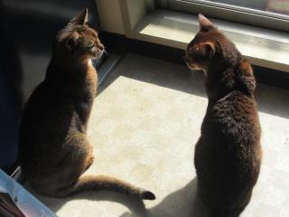 なにやらお話？