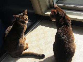 気持ちいい一日