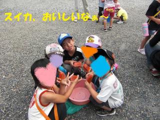 おいしいスイカ