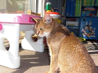 眠くなってきた