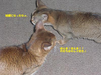 また仲良く！？