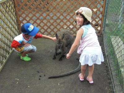 ワラビーと一緒