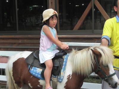 ポニー乗馬ぴんく