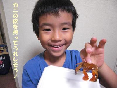 ぶるーはへっちゃら！