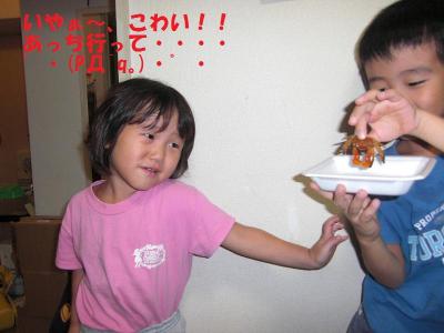 こわいよぉ～。