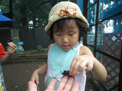 ぴんくとカブト虫