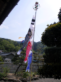 koinobori
