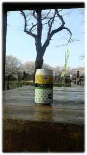 トップバリューの酎ハイ.jpg