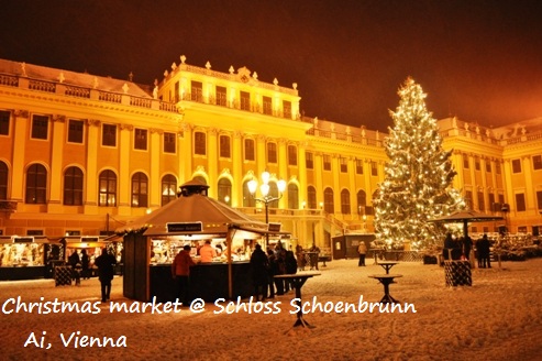 Schoenbrunn 2010