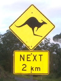 Kangaroosign