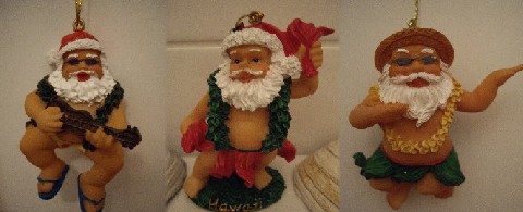 Hawaii santa