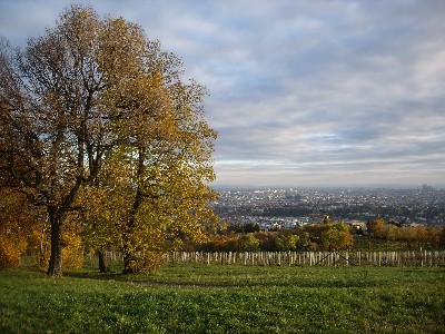 Vienna Autumn