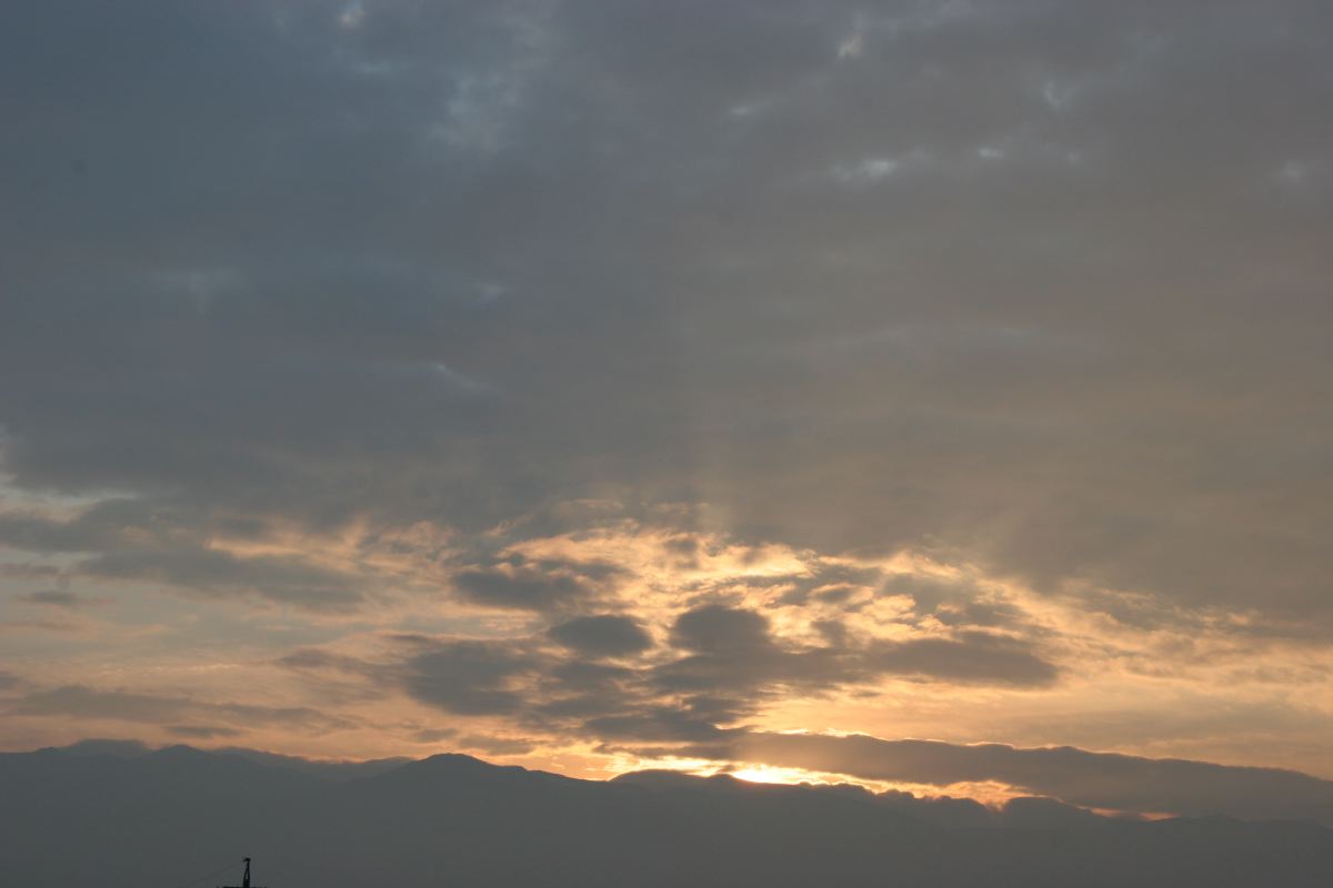 １１月２４日ー５