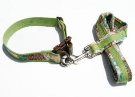 黄緑25ｸﾞﾘｰﾝ桜