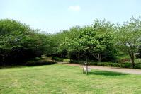 07-4-26　山　新緑0003