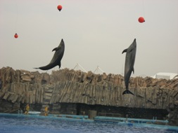 名古屋港水族館