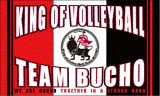 TeamBucho.gif