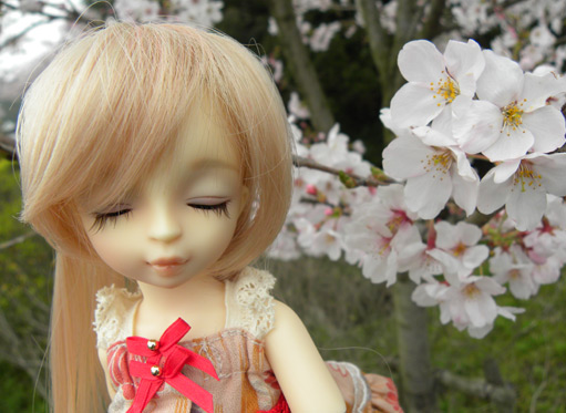 桜とアル（幼SDホワイトラビット）