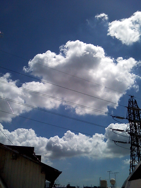 Image048.jpg