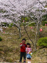 お花見