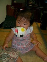 ハルだワン！！