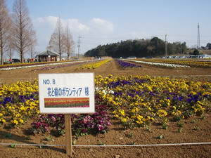 20070304fuusya2