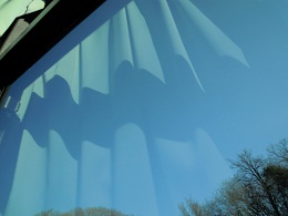 ハワイアンズ１