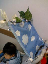 ベビーカー後ろ