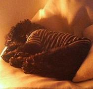 200612141642.jpg