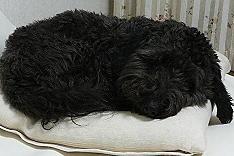 200611081657.jpg