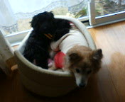 200604121459.jpg