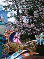 tdl2