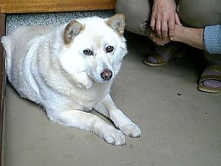 海(かい)と母(一部)