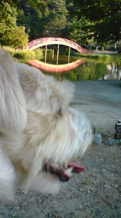 称名寺でのんびり