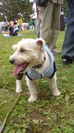 チャッピー隊長１