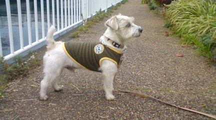 何か聞こえるぞ