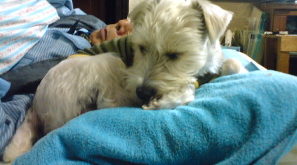 父たんの物は僕の物