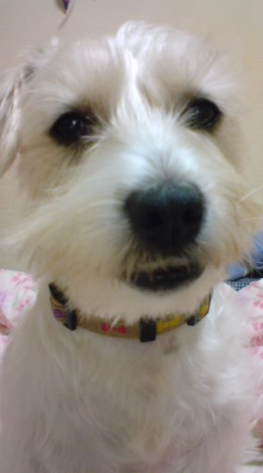 僕は出来の悪い子？