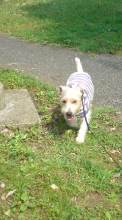 探検して来たよ