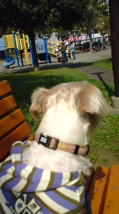 皆楽しそうだね